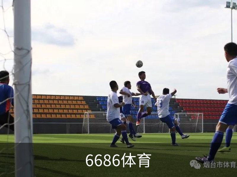 了解6686体育